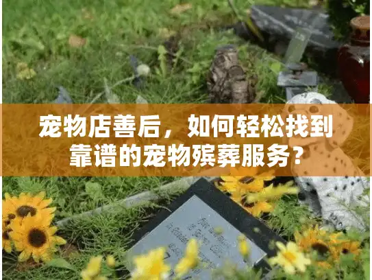 宠物店善后，如何轻松找到靠谱的宠物殡葬服务？