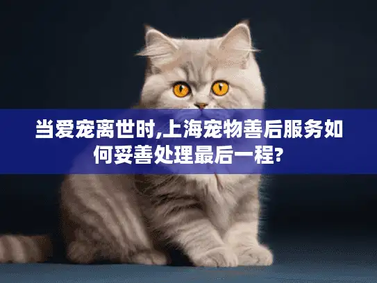 当爱宠离世时,上海宠物善后服务如何妥善处理最后一程?