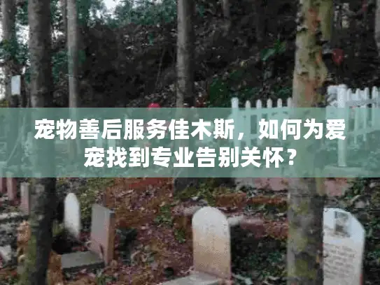 宠物善后服务佳木斯，如何为爱宠找到专业告别关怀？
