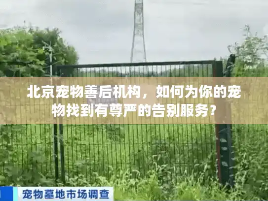 北京宠物善后机构，如何为你的宠物找到有尊严的告别服务？