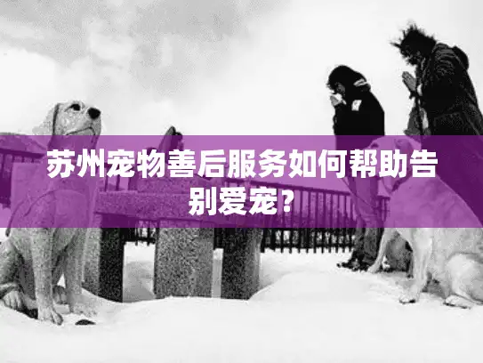 苏州宠物善后服务如何帮助告别爱宠？