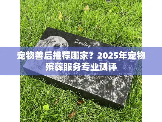 宠物善后推荐哪家？2025年宠物殡葬服务专业测评