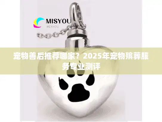 宠物善后推荐哪家？2025年宠物殡葬服务专业测评
