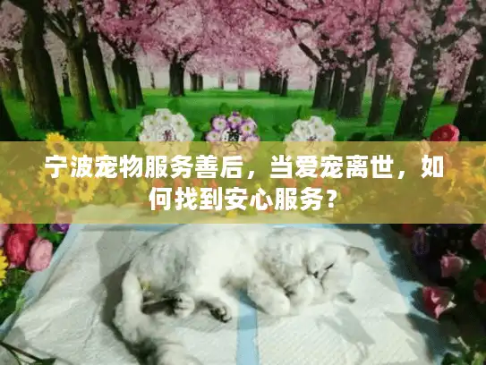 宁波宠物服务善后，当爱宠离世，如何找到安心服务？