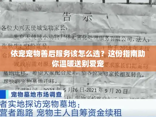 依宠宠物善后服务该怎么选？这份指南助你温暖送别爱宠
