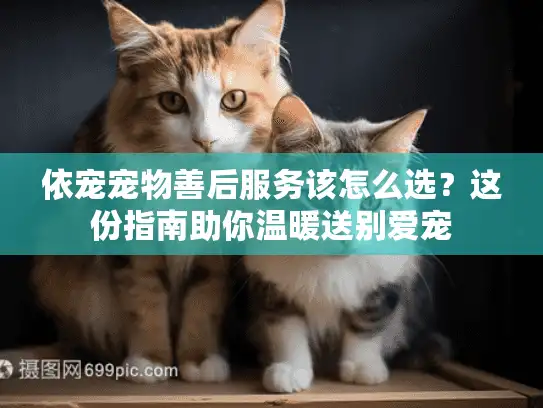 依宠宠物善后服务该怎么选？这份指南助你温暖送别爱宠