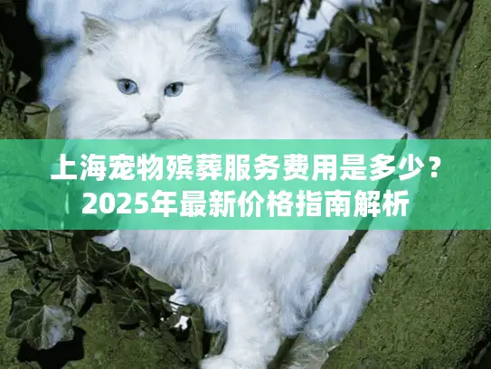 上海宠物殡葬服务费用是多少？2025年最新价格指南解析