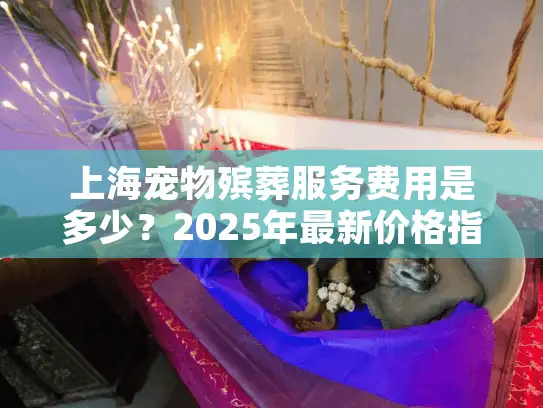 上海宠物殡葬服务费用是多少？2025年最新价格指南解析