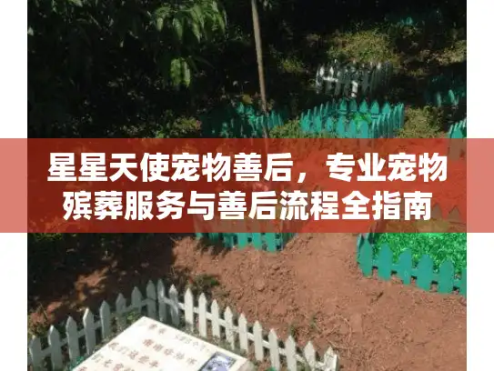 星星天使宠物善后，专业宠物殡葬服务与善后流程全指南