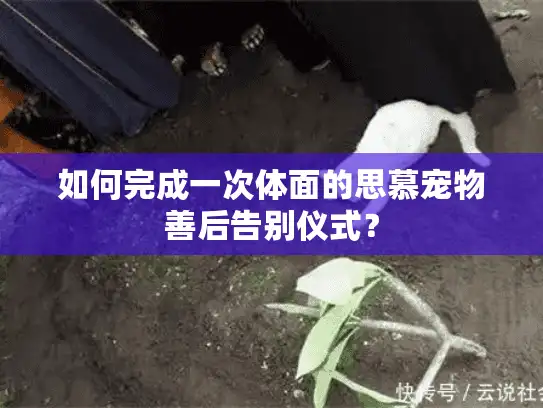 如何完成一次体面的思慕宠物善后告别仪式？