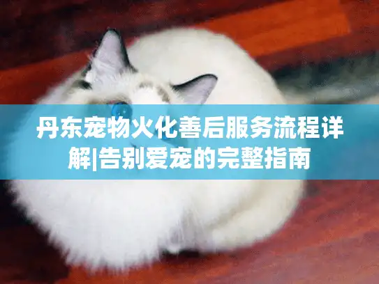 丹东宠物火化善后服务流程详解|告别爱宠的完整指南