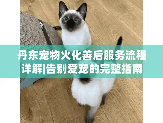 丹东宠物火化善后服务流程详解|告别爱宠的完整指南