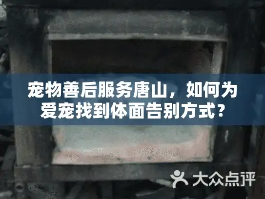 宠物善后服务唐山，如何为爱宠找到体面告别方式？