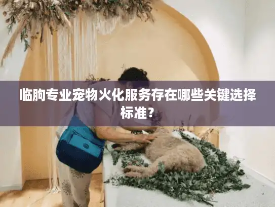 临朐专业宠物火化服务存在哪些关键选择标准？