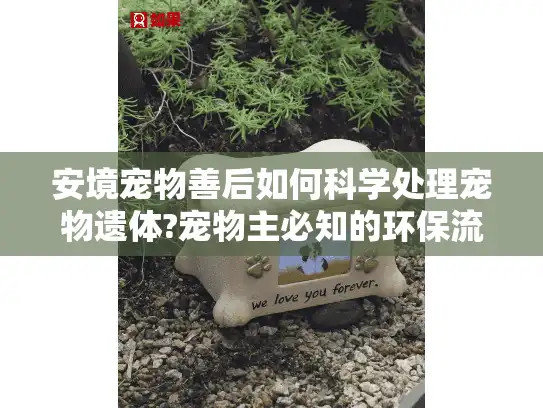 安境宠物善后如何科学处理宠物遗体?宠物主必知的环保流程