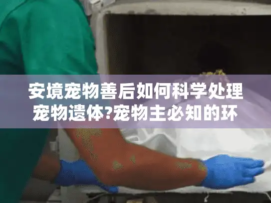 安境宠物善后如何科学处理宠物遗体?宠物主必知的环保流程