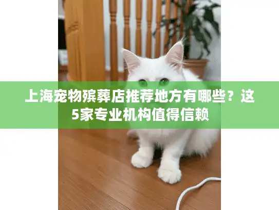 上海宠物殡葬店推荐地方有哪些？这5家专业机构值得信赖