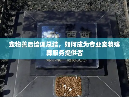 宠物善后培训总结，如何成为专业宠物殡葬服务提供者