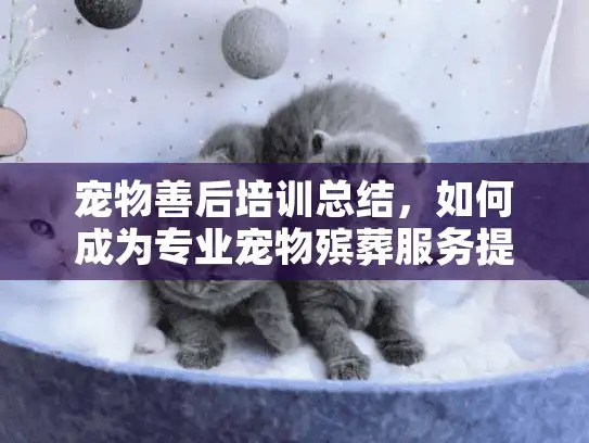 宠物善后培训总结，如何成为专业宠物殡葬服务提供者