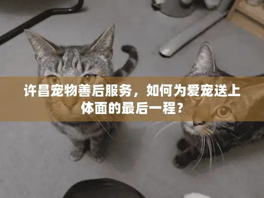 许昌宠物善后服务，如何为爱宠送上体面的最后一程？