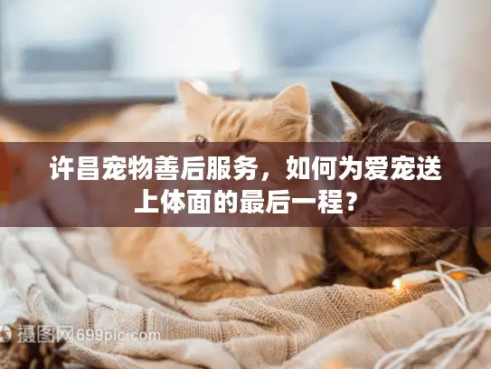 许昌宠物善后服务，如何为爱宠送上体面的最后一程？