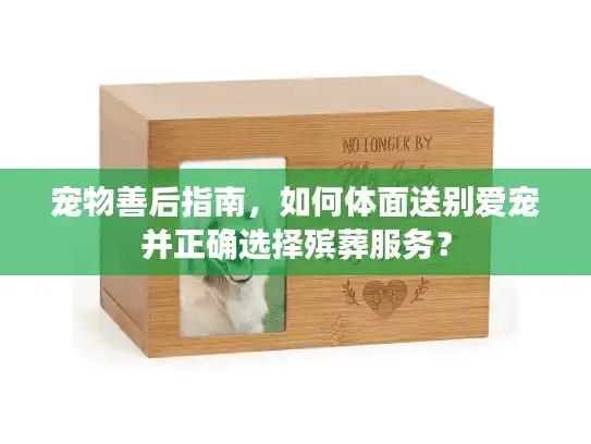 宠物善后指南，如何体面送别爱宠并正确选择殡葬服务？