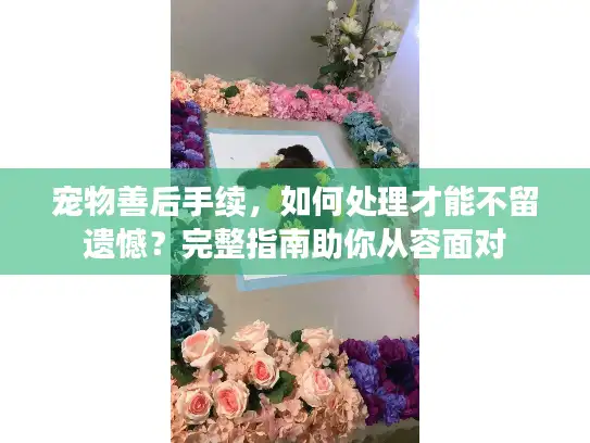 宠物善后手续，如何处理才能不留遗憾？完整指南助你从容面对