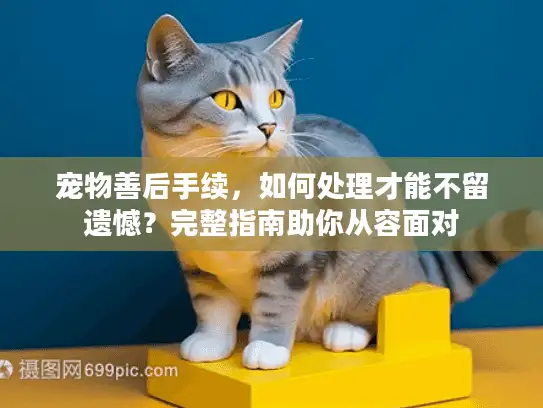 宠物善后手续，如何处理才能不留遗憾？完整指南助你从容面对