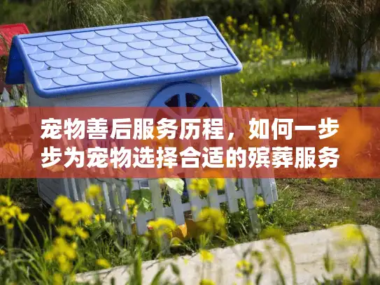 宠物善后服务历程，如何一步步为宠物选择合适的殡葬服务？