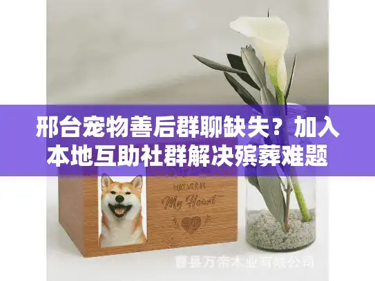 邢台宠物善后群聊缺失？加入本地互助社群解决殡葬难题
