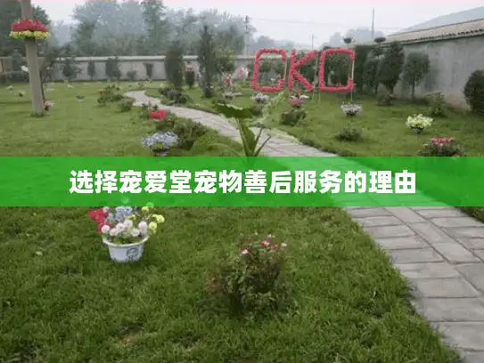 选择宠爱堂宠物善后服务的理由