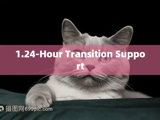 1.24-Hour Transition Support