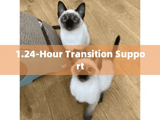 1.24-Hour Transition Support