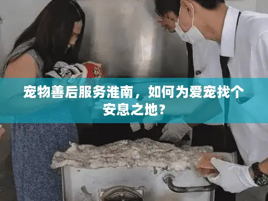 宠物善后服务淮南，如何为爱宠找个安息之地？
