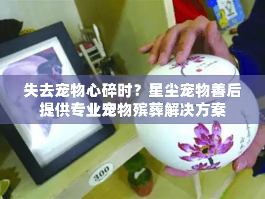失去宠物心碎时？星尘宠物善后提供专业宠物殡葬解决方案