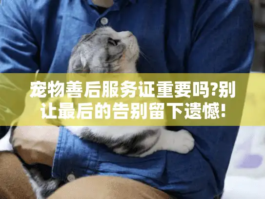 宠物善后服务证重要吗?别让最后的告别留下遗憾!