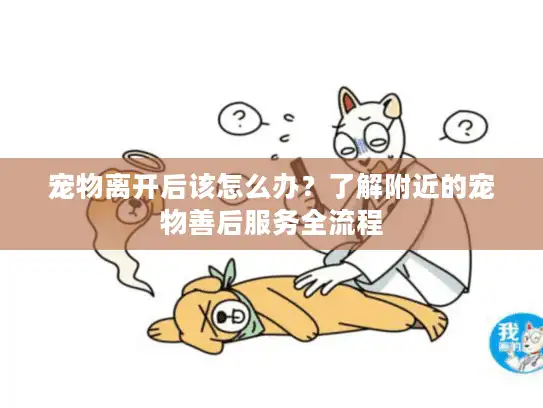 宠物离开后该怎么办？了解附近的宠物善后服务全流程
