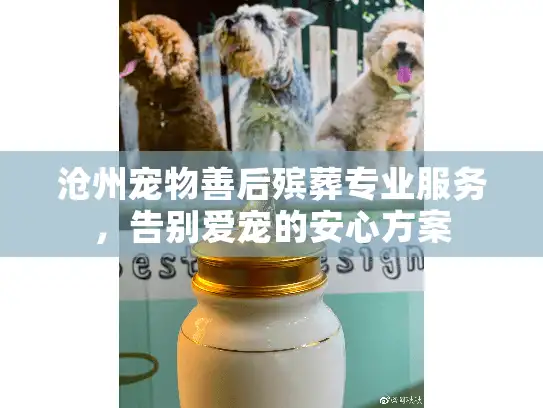 沧州宠物善后殡葬专业服务，告别爱宠的安心方案