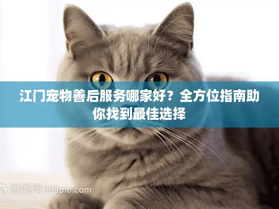 江门宠物善后服务哪家好？全方位指南助你找到最佳选择