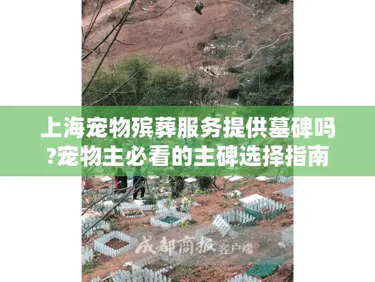 上海宠物殡葬服务提供墓碑吗?宠物主必看的主碑选择指南