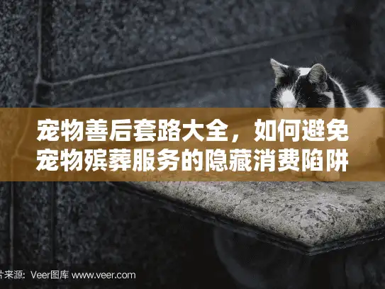 宠物善后套路大全，如何避免宠物殡葬服务的隐藏消费陷阱？