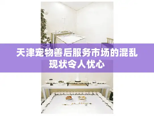 天津宠物善后服务市场的混乱现状令人忧心