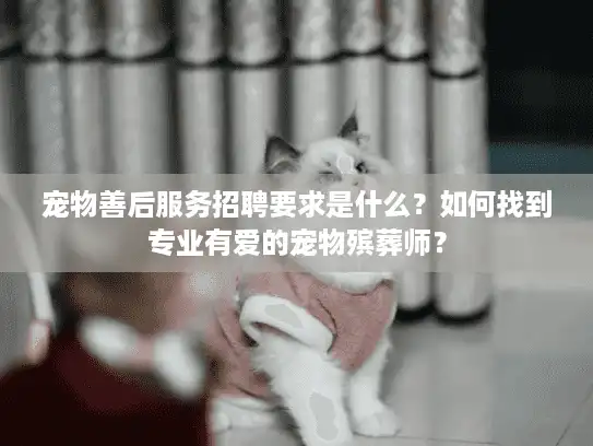 宠物善后服务招聘要求是什么？如何找到专业有爱的宠物殡葬师？