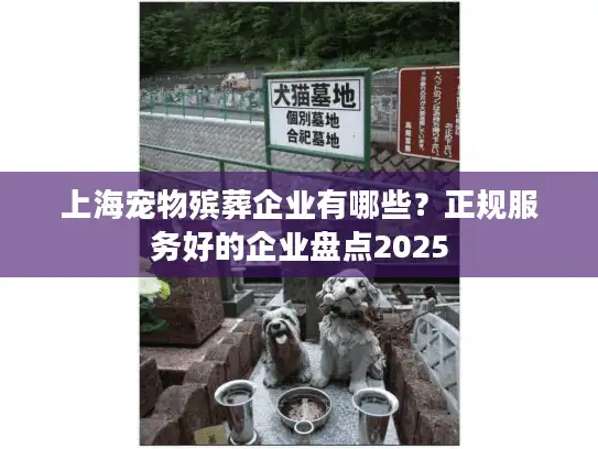 上海宠物殡葬企业有哪些？正规服务好的企业盘点2025