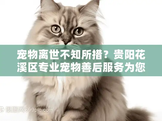 宠物离世不知所措？贵阳花溪区专业宠物善后服务为您解忧