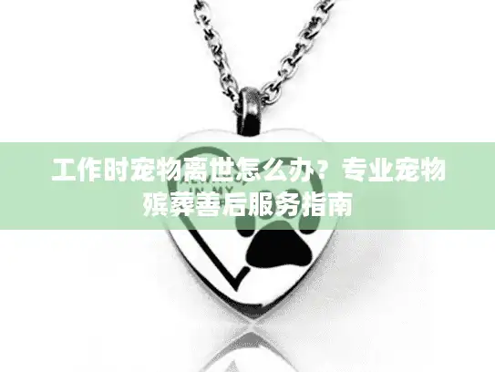 工作时宠物离世怎么办？专业宠物殡葬善后服务指南