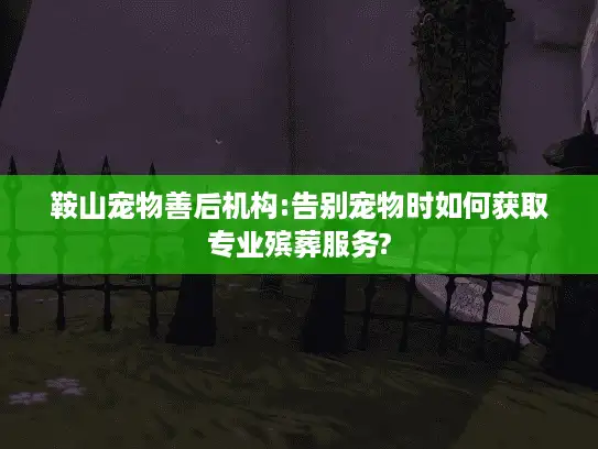 鞍山宠物善后机构:告别宠物时如何获取专业殡葬服务?