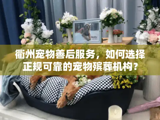 衢州宠物善后服务，如何选择正规可靠的宠物殡葬机构？