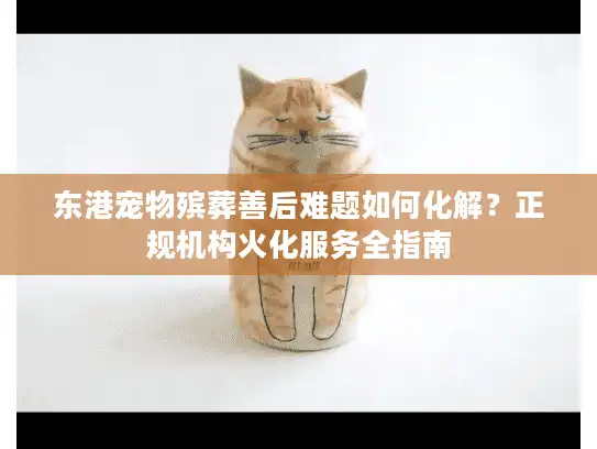 东港宠物殡葬善后难题如何化解？正规机构火化服务全指南