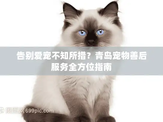 告别爱宠不知所措？青岛宠物善后服务全方位指南